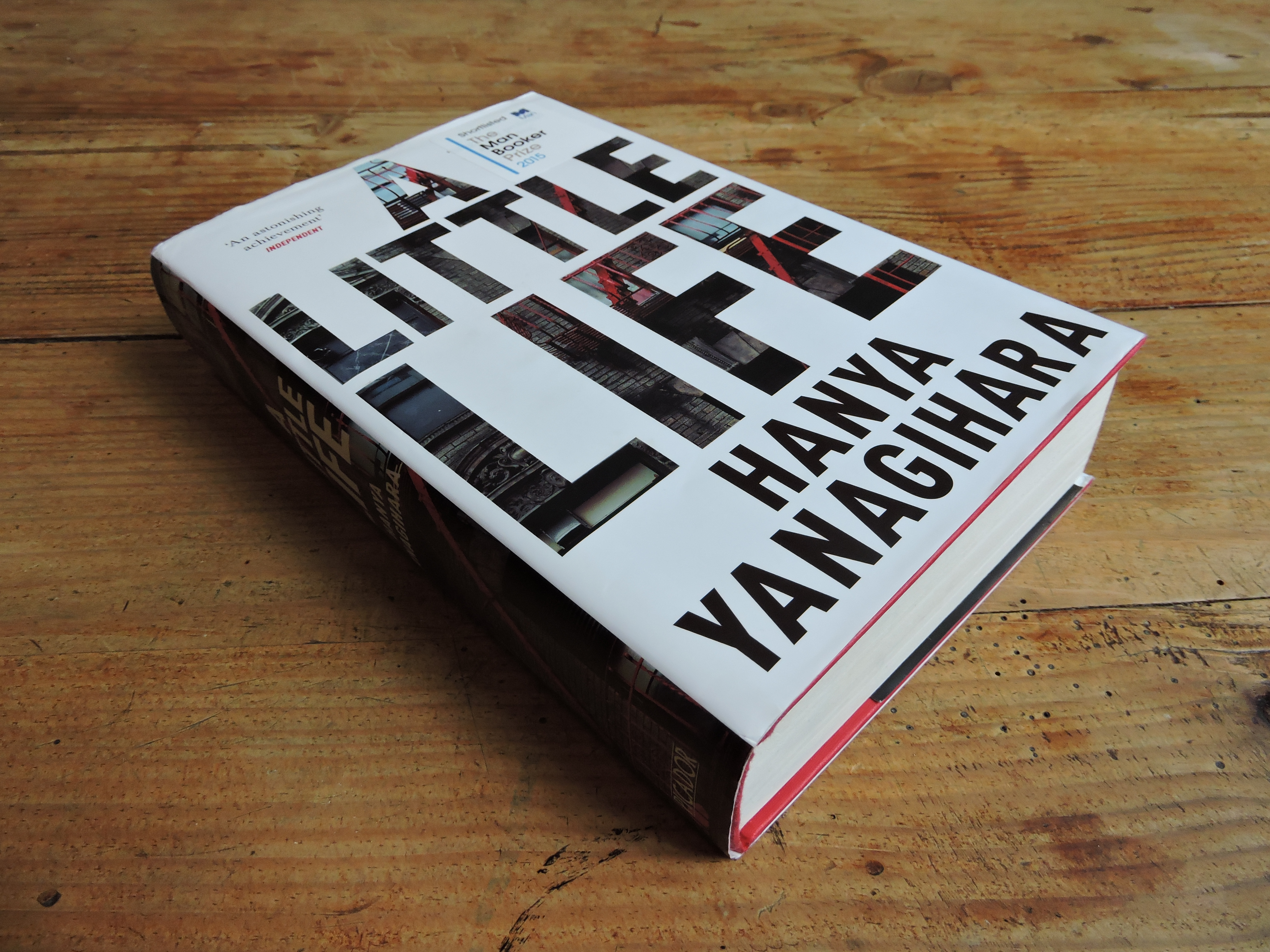 A Little Life by Hanya Yanagihara: my book review - The Natterbox